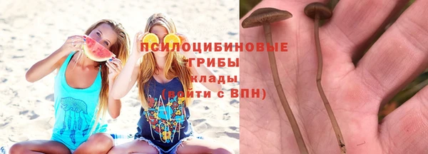 прущие грибы Арсеньев