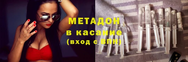 прущие грибы Арсеньев