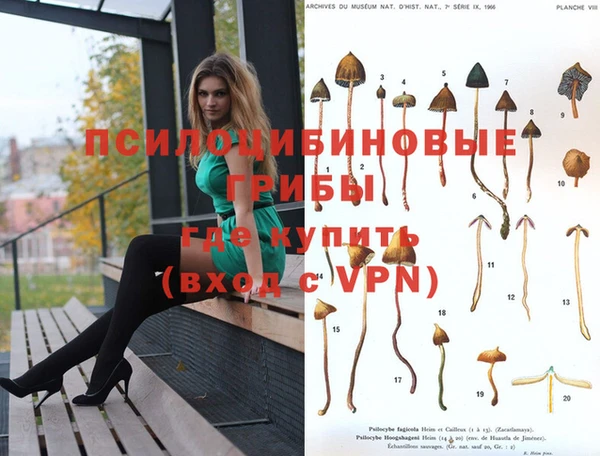 прущие грибы Арсеньев