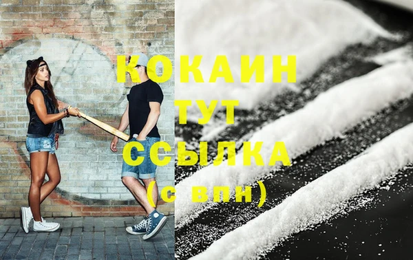 прущие грибы Арсеньев