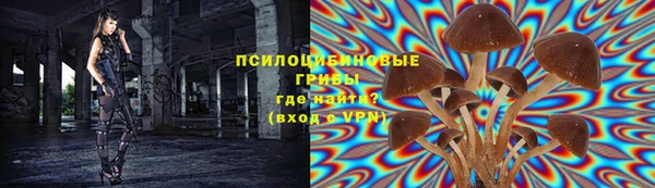прущие грибы Арсеньев