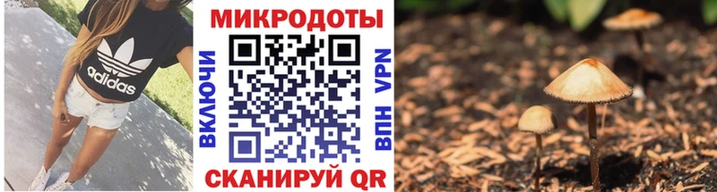 Псилоцибиновые грибы GOLDEN TEACHER Купить Володарск